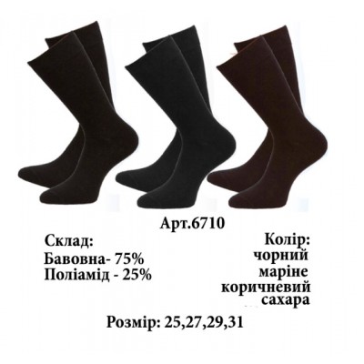 Шкарпетки чоловічі високі демісезонні Легка хода арт 6710